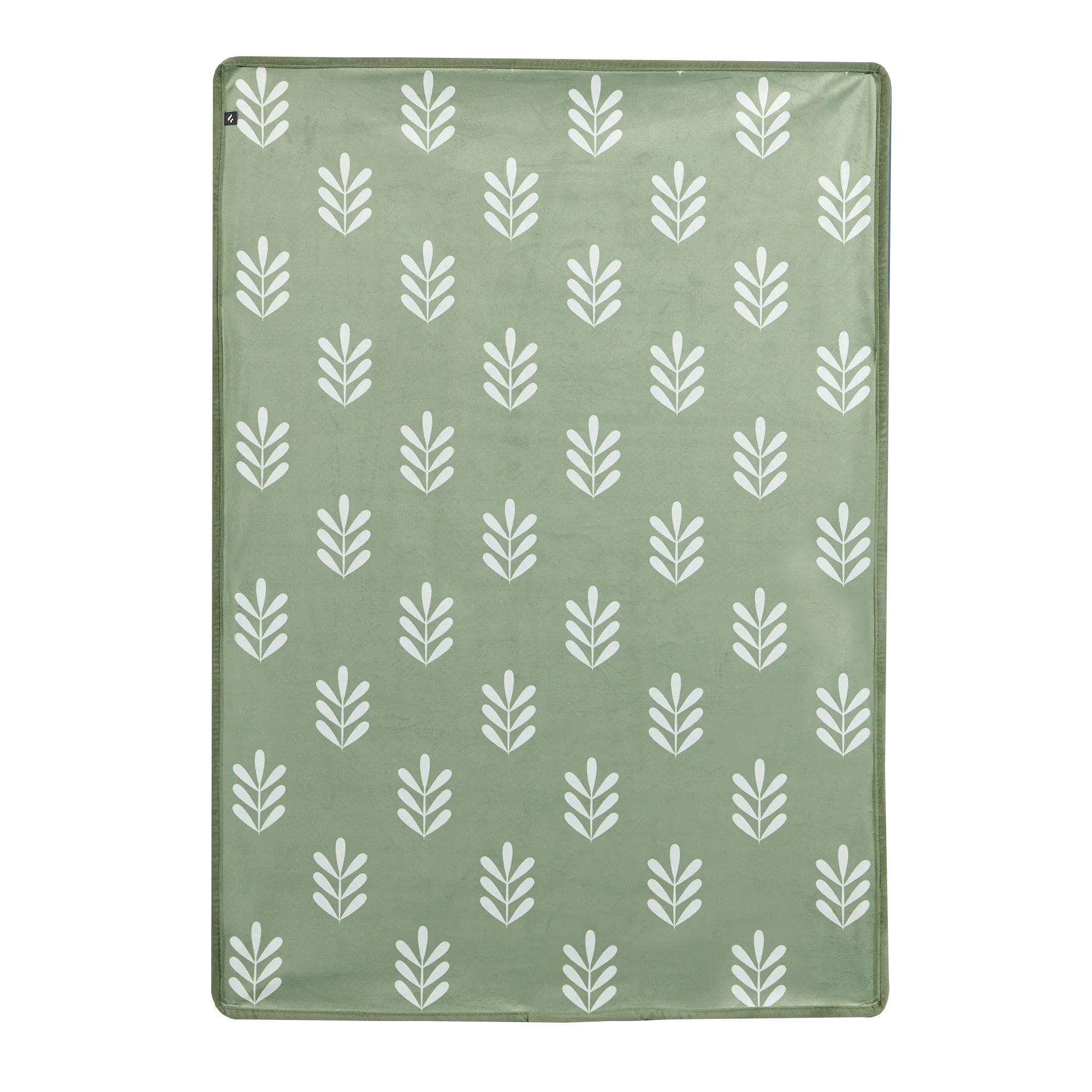 Tapis ALOIS coloris vert clair 70 x 100 cm - 4MURS