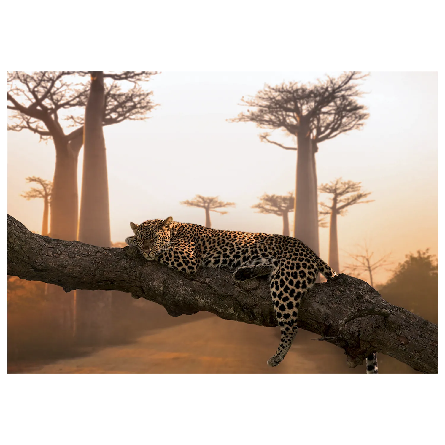 4MURS Tableau LEOPARD coloris orange - 4MURS