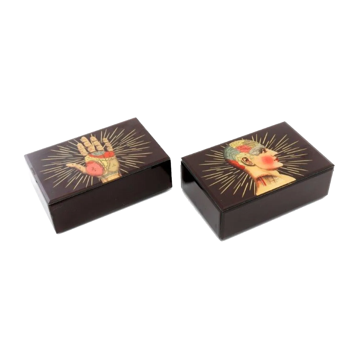 Boîte à bijoux PHRENOLOGY coloris noir - 4MURS