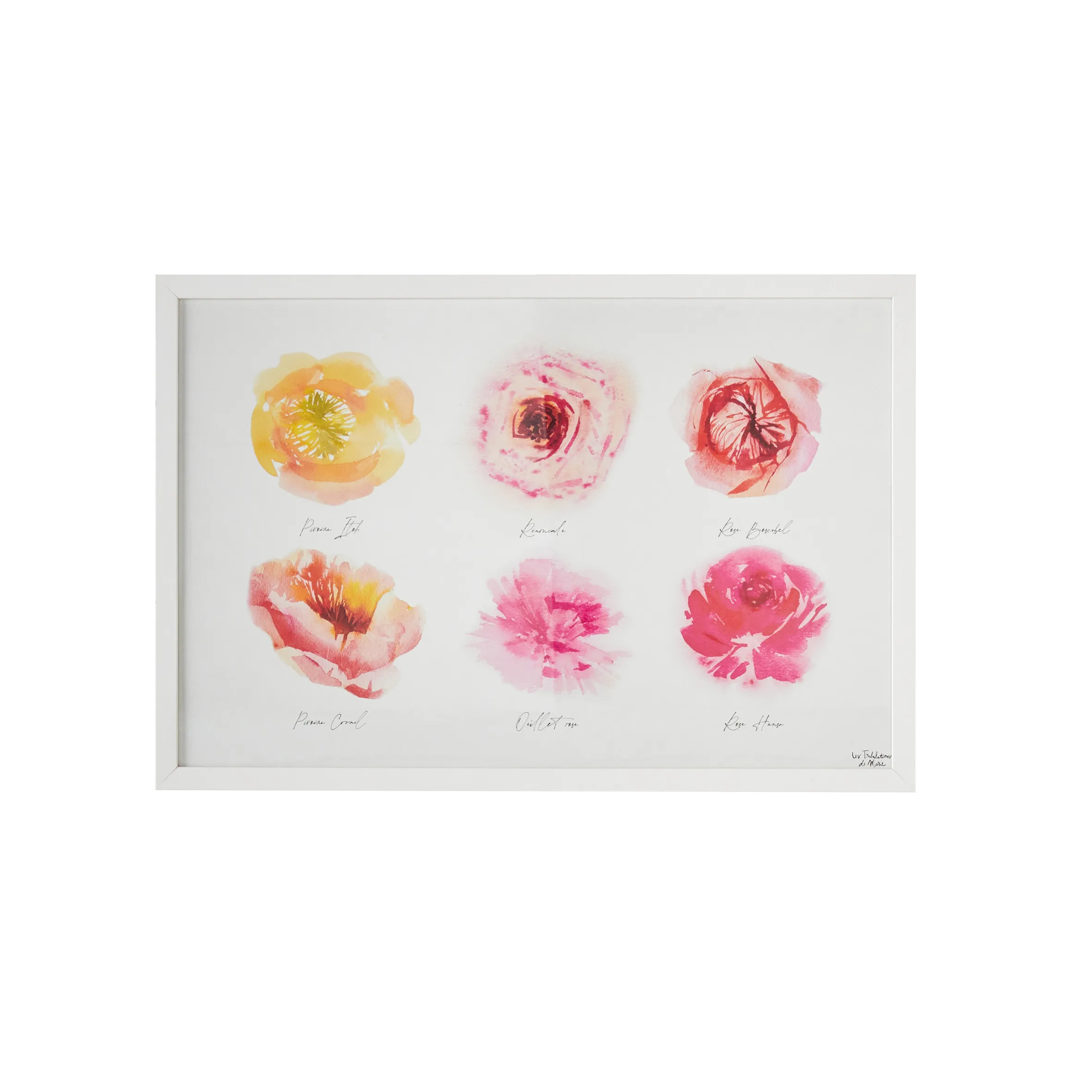 4MURS Image sous verre ROSERAIE 60 x 40 cm - 4MURS