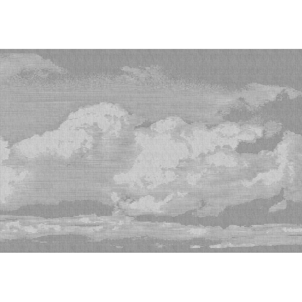 Papier peint panoramique XL NUBE 400 x 270 cm gris perle - 4MURS