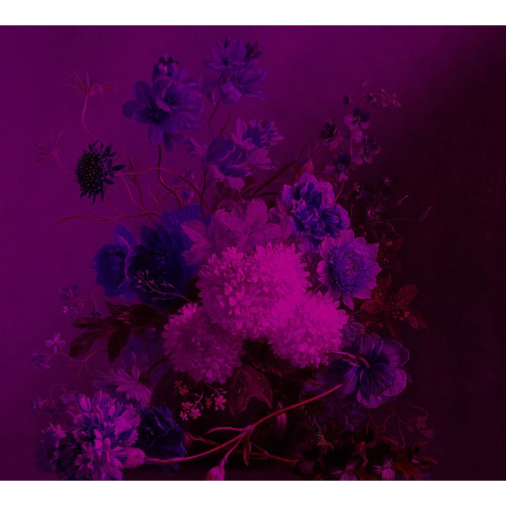 Papier peint panoramique XL GRAPPOLO 300 x 270 cm violet - 4MURS