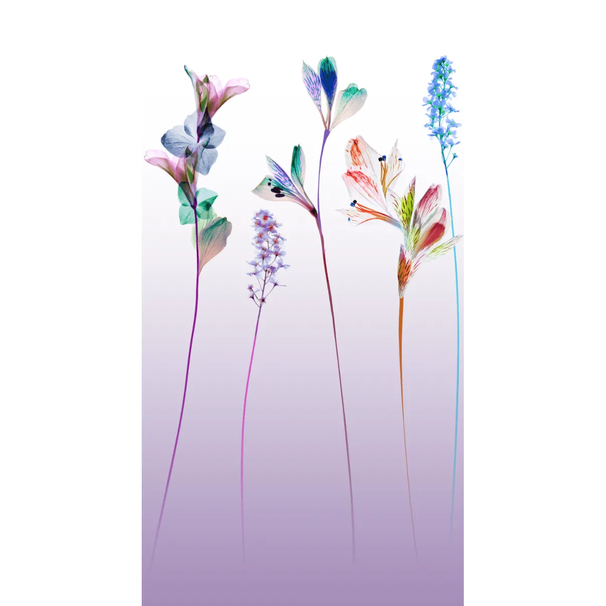 4MURS Papier peint panoramique L ZELYA 150 x 280 cm - 4MURS