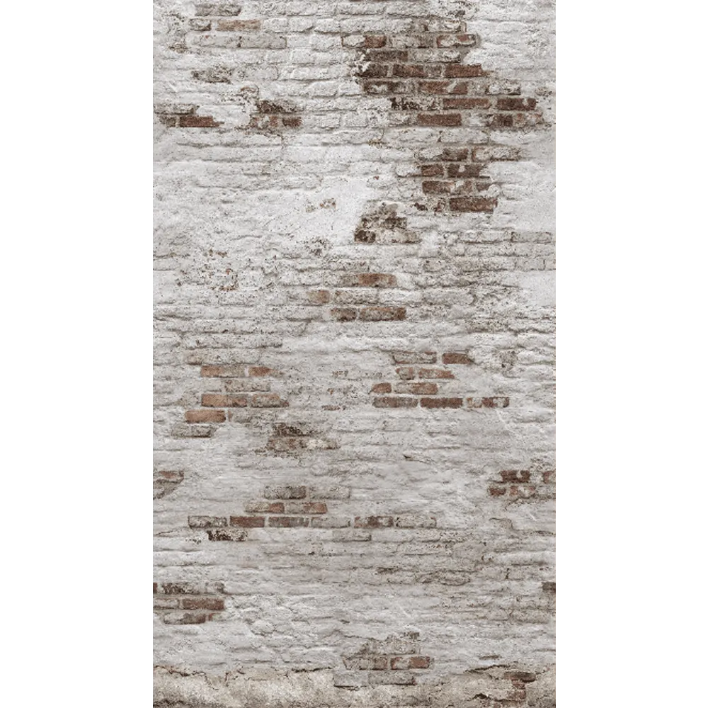 Papier peint panoramique L BRICKS 159 x 280 cm - 4MURS