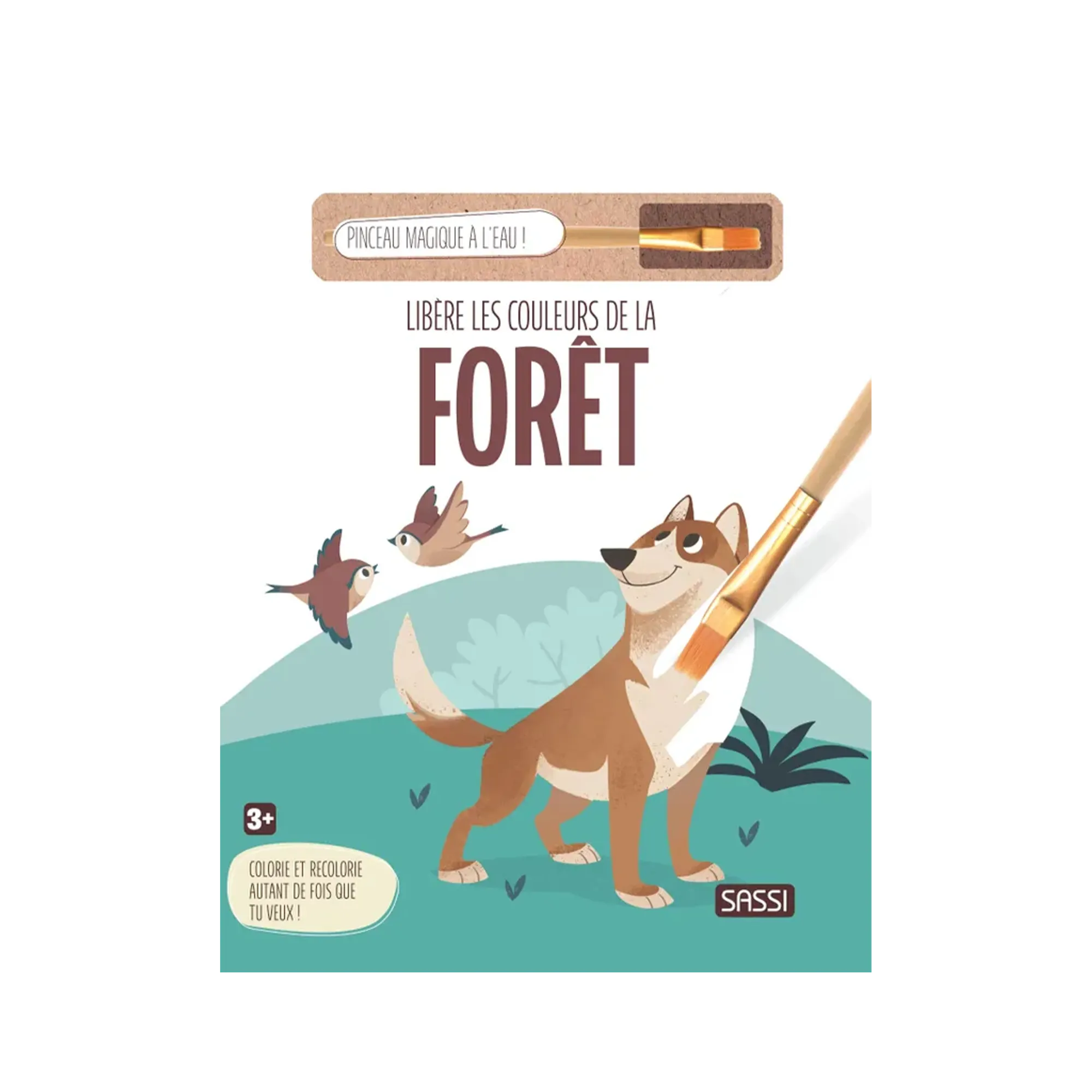 Sassi Junior Coloriage LIBÈRE LES COULEURS DE LA FORÊT - 4MURS