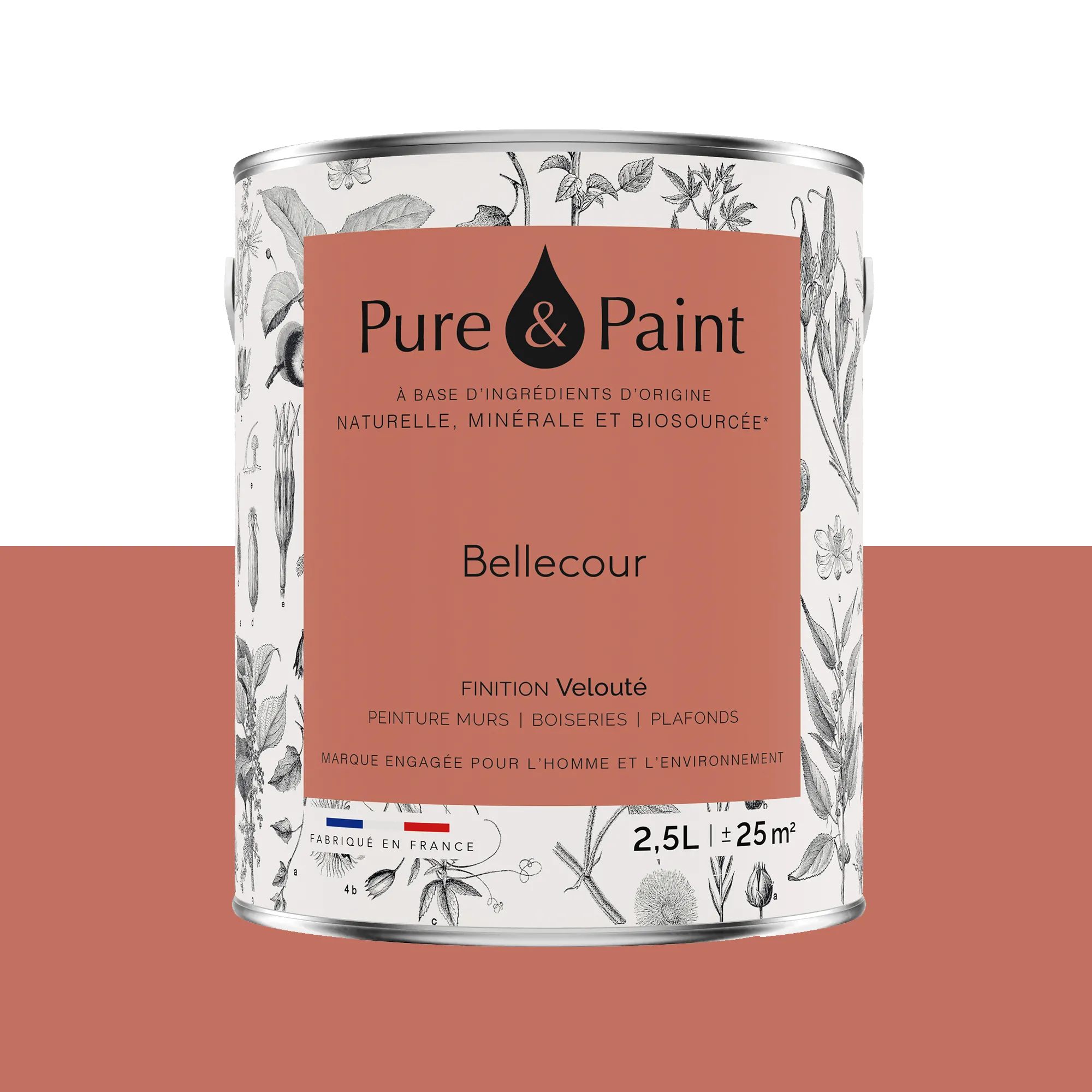 Pure and Paint Peinture Peinture BELLECOUR - 4MURS
