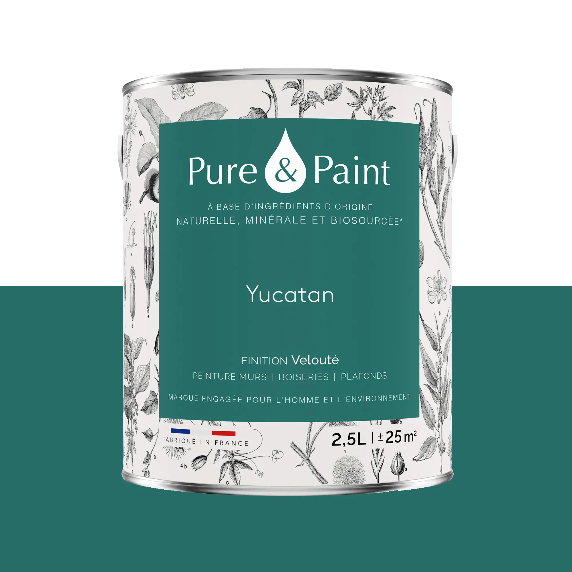 Pure and Paint Peinture Peinture Yucatan - 4MURS