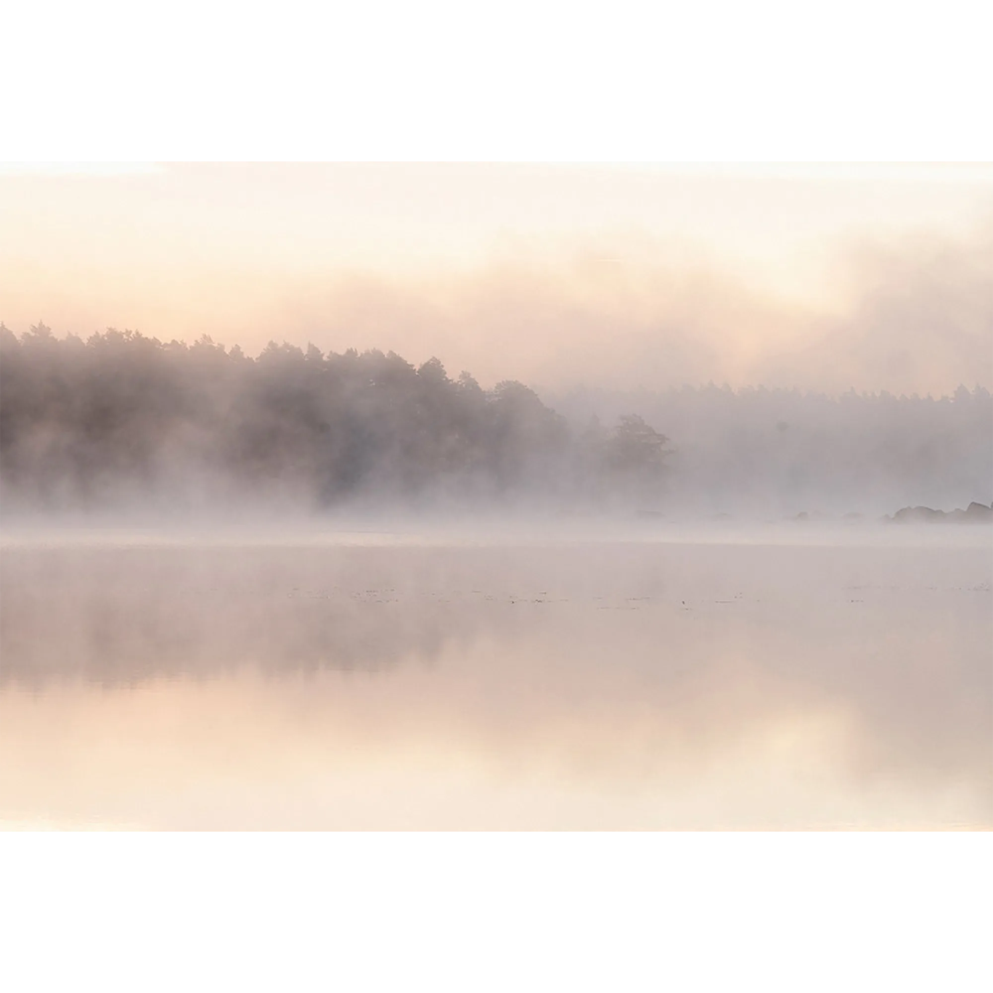 Papier peint panoramique XL NOAH 400 x 270 cm - 4MURS