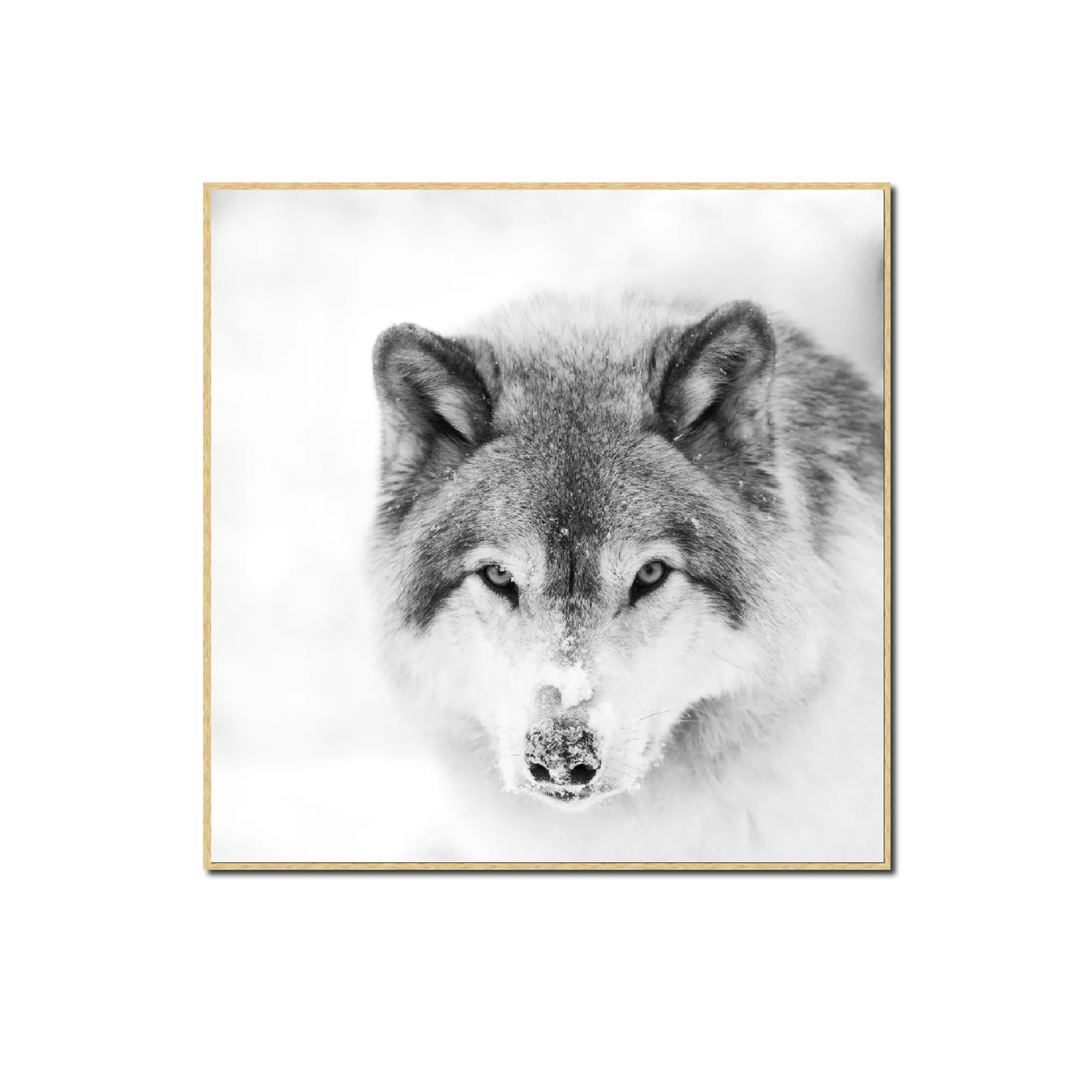 4MURS Tableau SNOW WOLF 40 x 40 cm - 4MURS