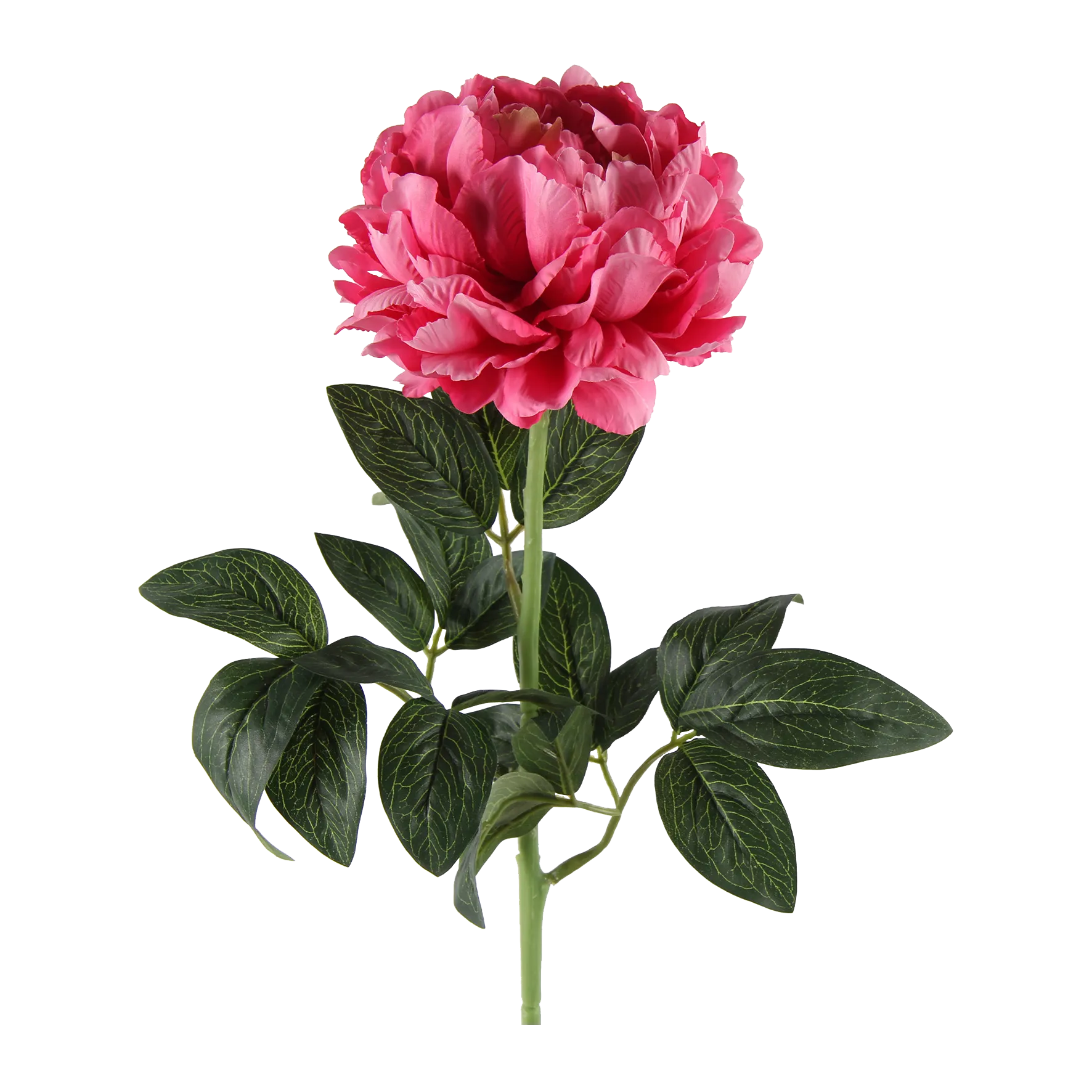Fleur artificielle PIVOINE ROSALINE coloris vert - 4MURS