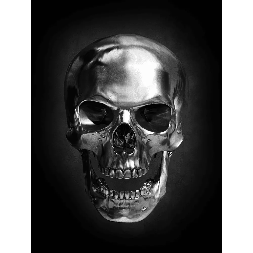 4MURS Toile imprimée DARK SKULL 70 x 100 cm - 4MURS