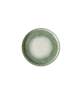 Assiette bord droit vert porcelaine vitrifiée Ø 21 cm Butterfly Dudson