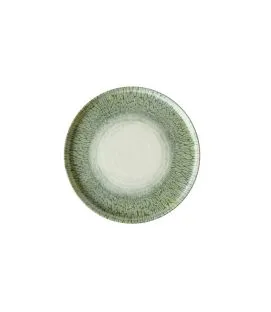 Assiette bord droit vert porcelaine vitrifiée Ø 26 cm Butterfly Dudson