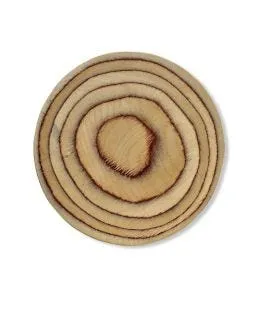 Planche rond bouleau bouleau Ø 15 cm De La Roca
