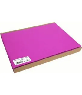 Set de table HORTENSIA plastique 30x40 cm (100 pièces)