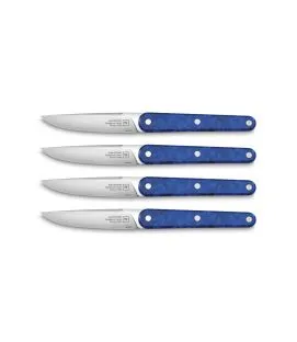 Coffret de 4 couteaux de table bleu 22 cm Joseph Tarrerias Bonjean