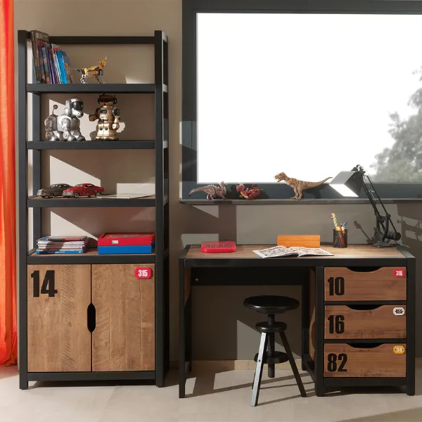 Bibliothèque+bureau Alex