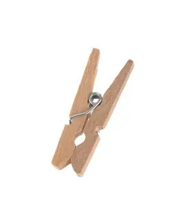 Mini pince à linge 3x0,4 cm Earth Essentials (100 pièces)