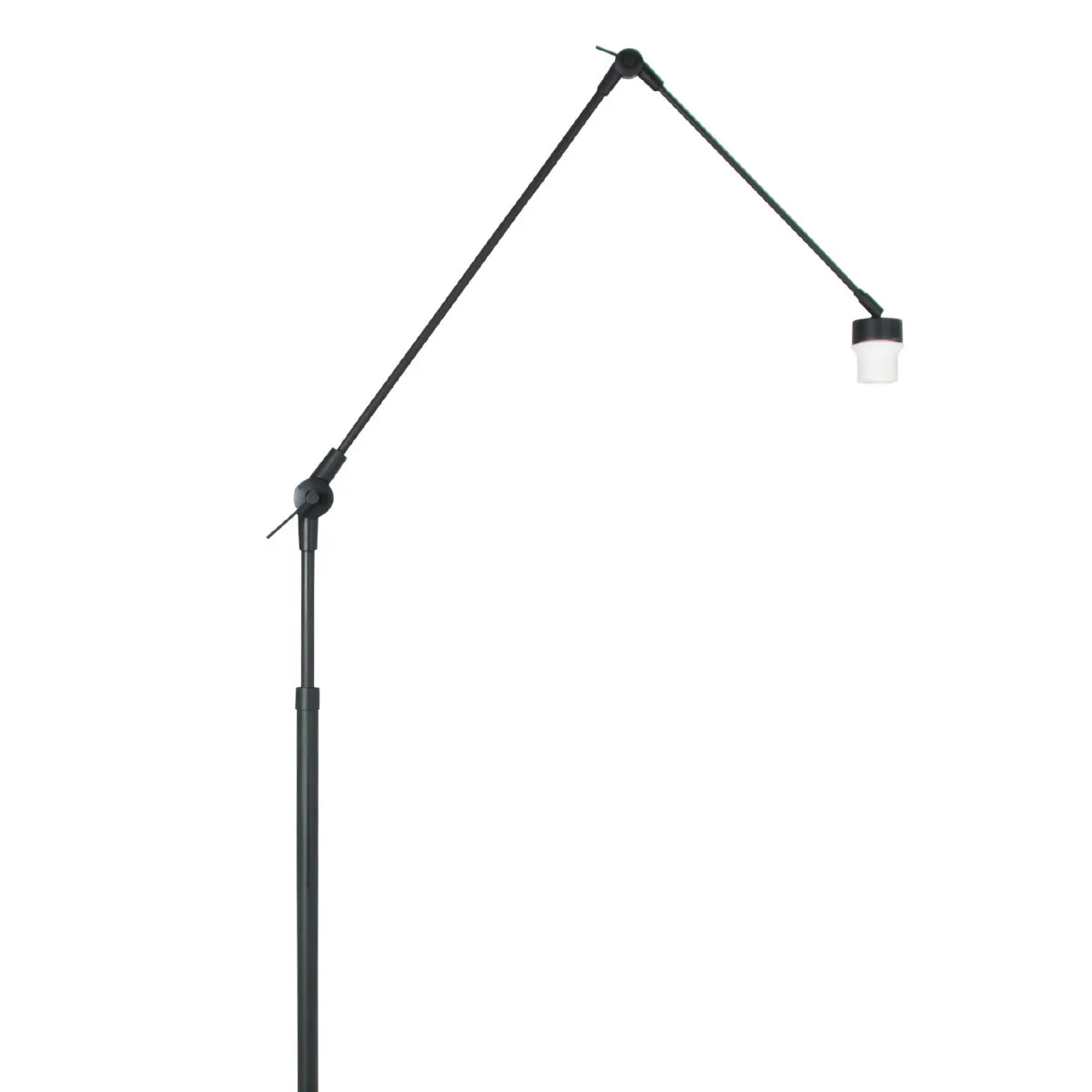 Luminaire arc réglable noir Steinhauer Gramineus