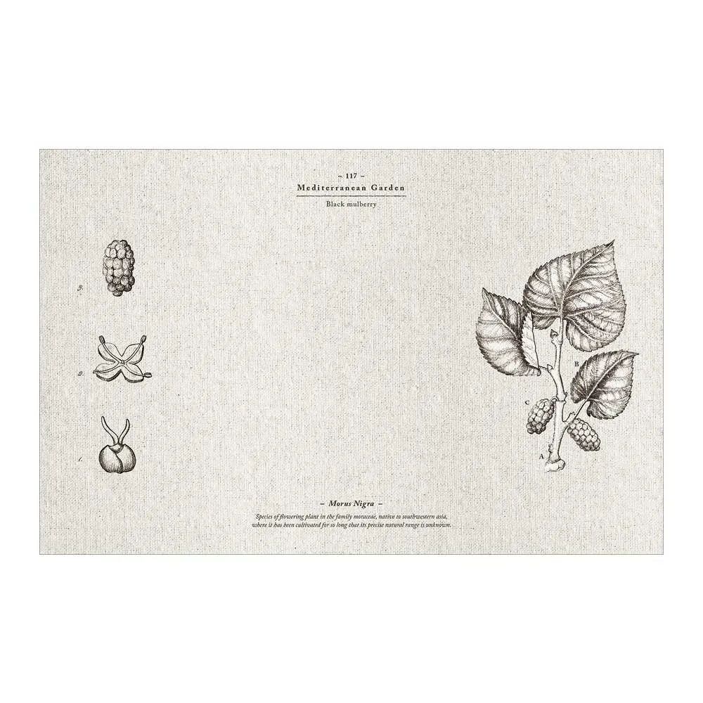 Set de Table Beija Flor Collection Mediterranean Garden MG22