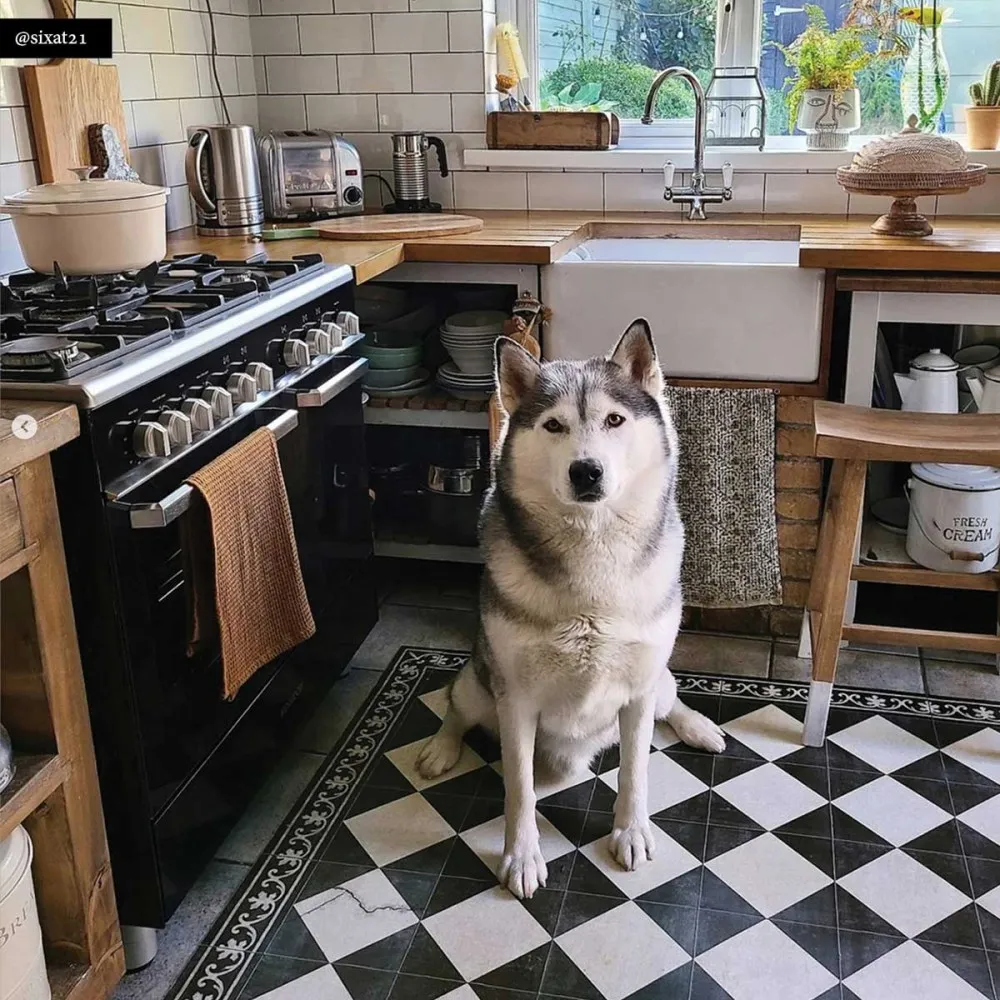 Tapis Beija Flor Vinyle Carreaux ciment Gambit Chess Antique